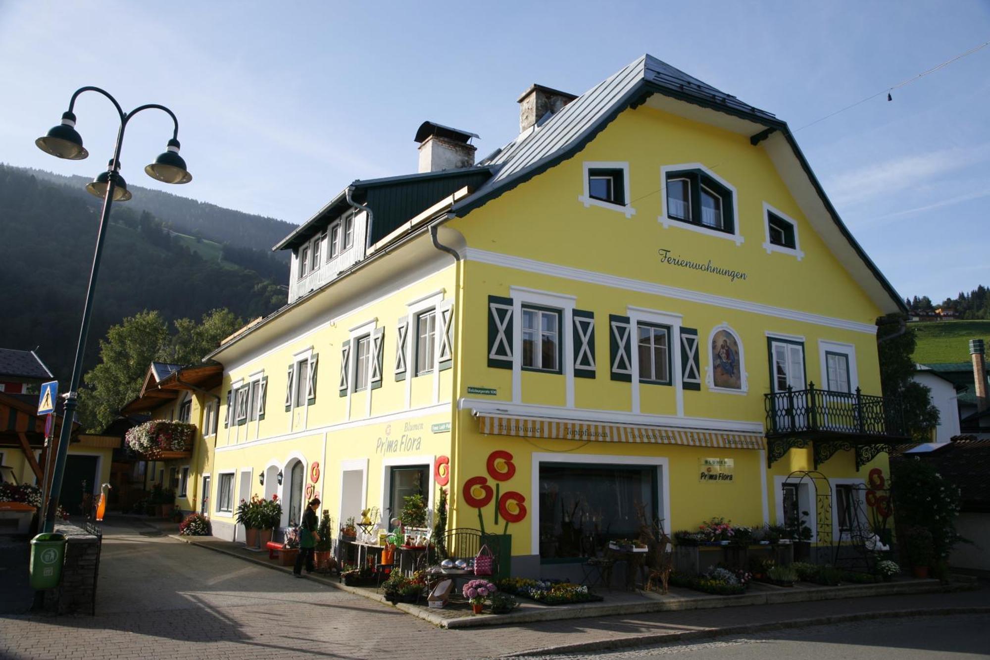Ferienappartement Royer Apartment Schladming