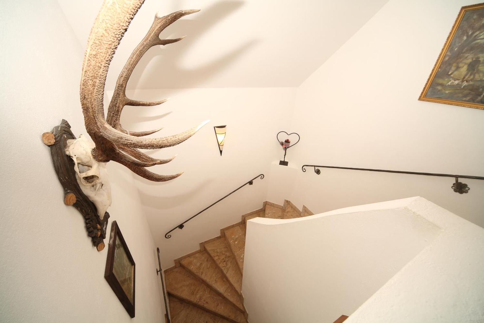 Ferienappartement Royer Apartment Schladming